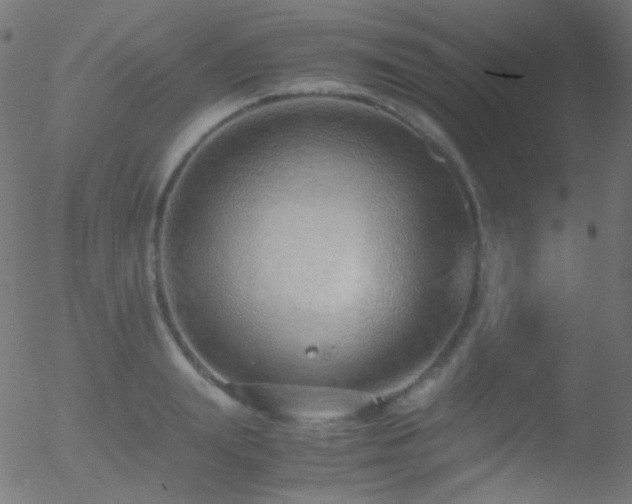 X0000052550847200507011128