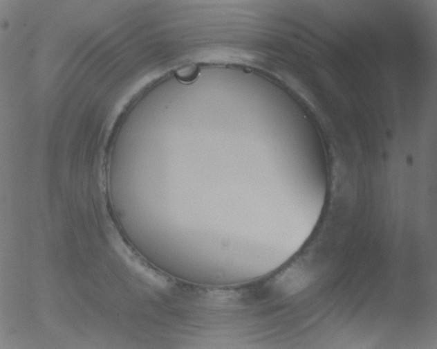 X0000052550848200507011128