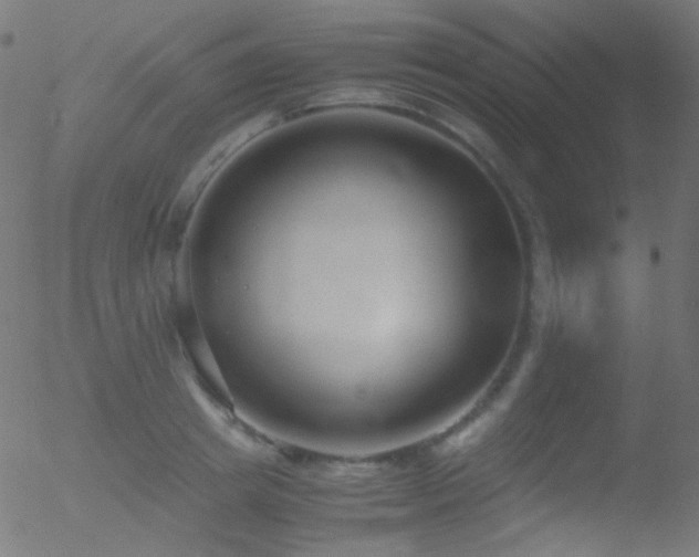 X0000052550849200507011128