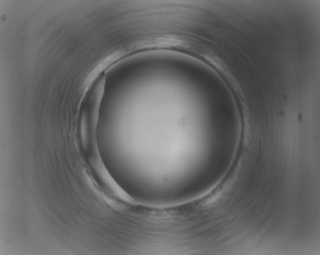 X0000052550850200507011128