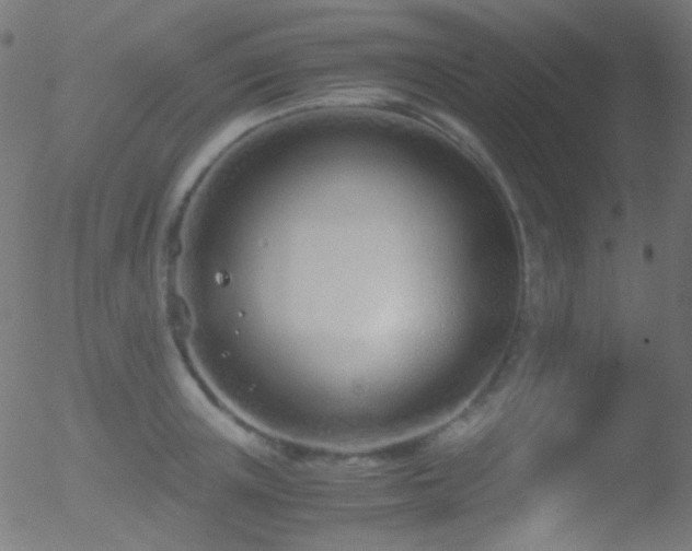 X0000052550851200507011128