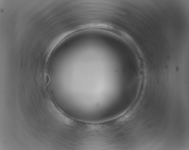 X0000052550852200507011128