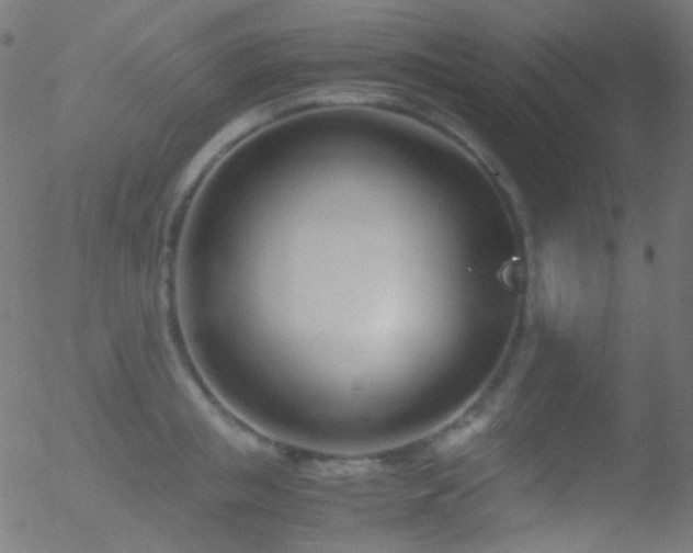 X0000052550853200507011128