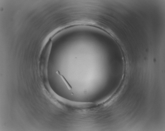 X0000052550854200507011128