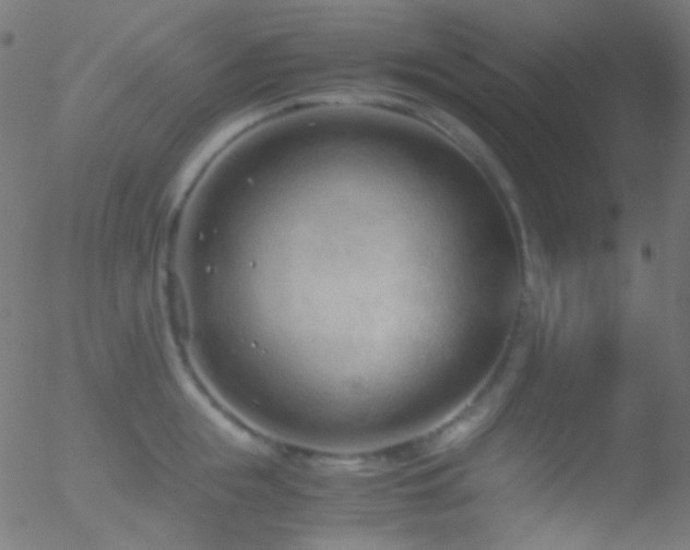 X0000052550855200507011128