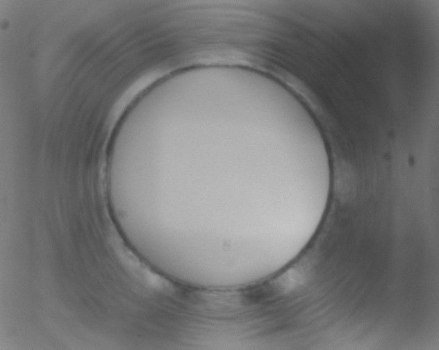 X0000052550856200507011128