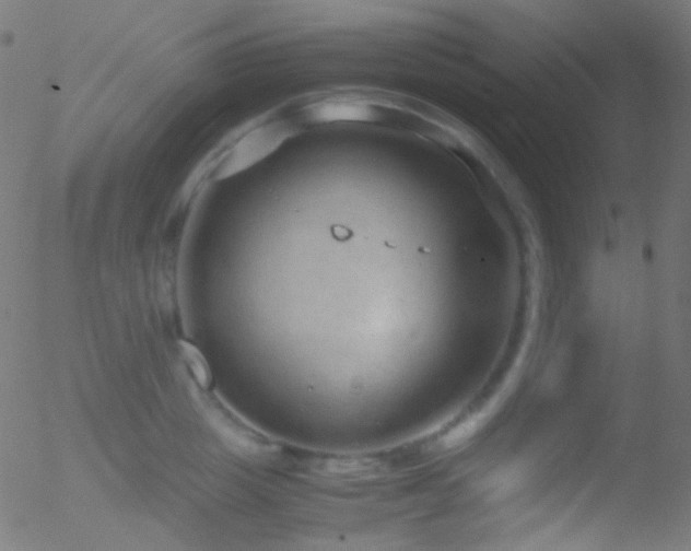 X0000052550857200507011128