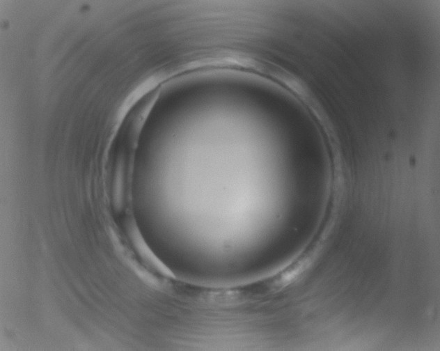 X0000052550858200507011128