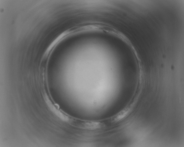 X0000052550859200507011129