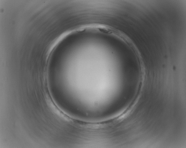 X0000052550860200507011129