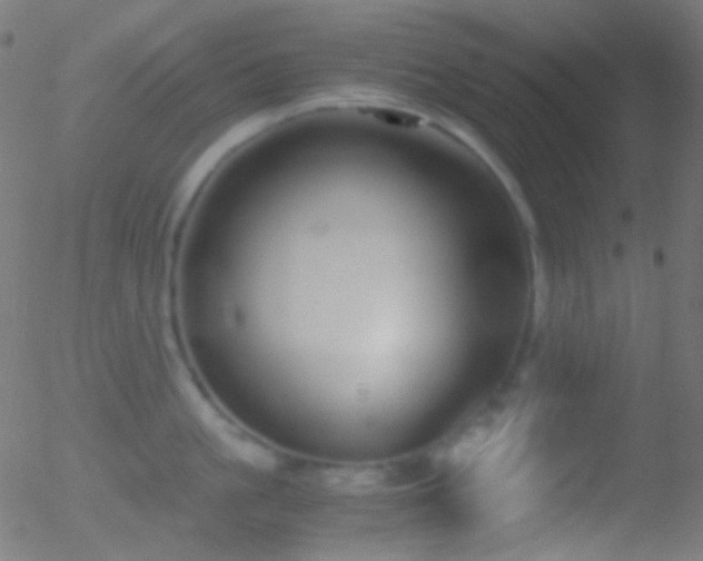 X0000052550861200507011129