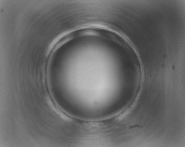 X0000052550862200507011129