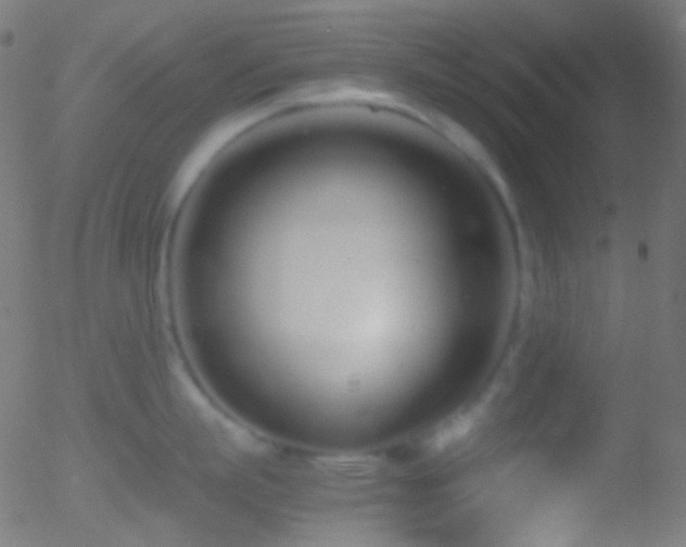 X0000052550863200507011129