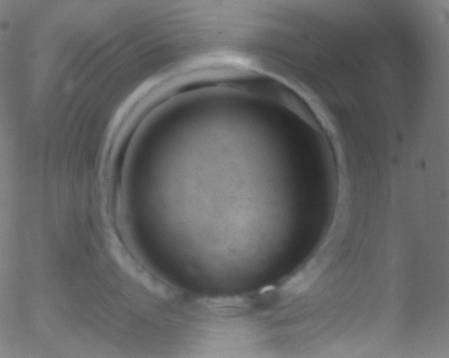 X0000052550864200507011129