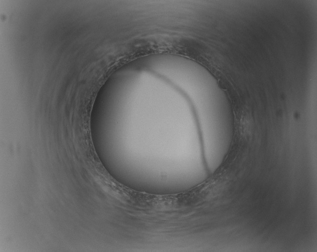 X0000052550865200507011128