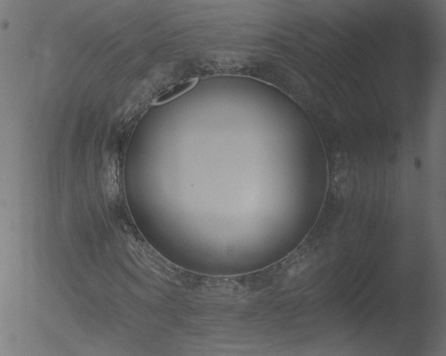 X0000052550866200507011128