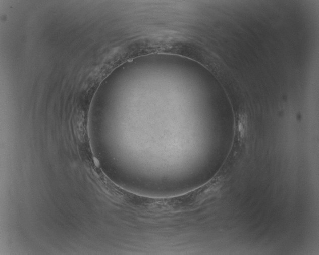 X0000052550867200507011128