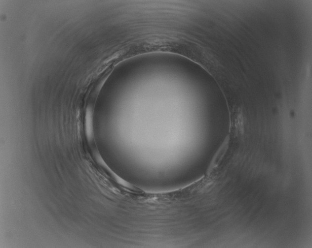 X0000052550868200507011128