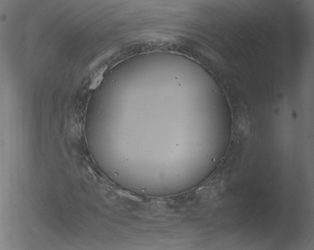 X0000052550869200507011128