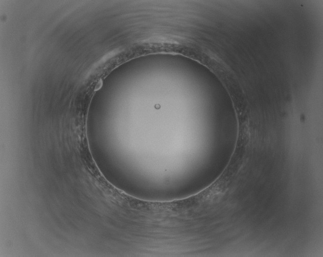 X0000052550870200507011128