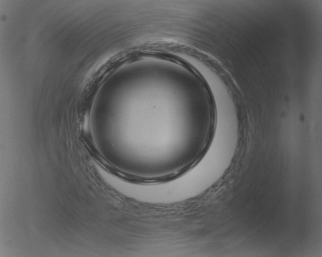 X0000052550871200507011128