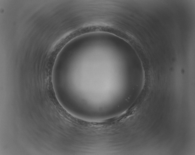 X0000052550872200507011128