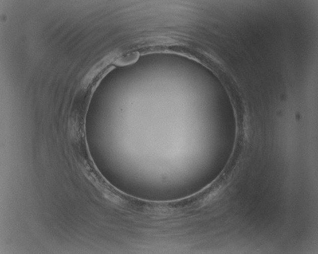 X0000052550873200507011128