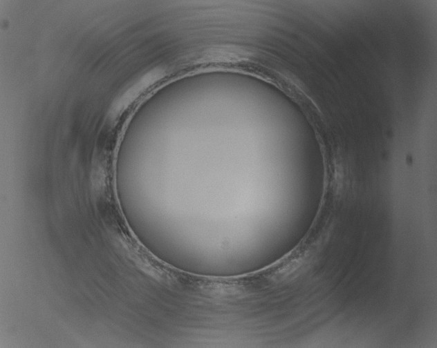 X0000052550874200507011128