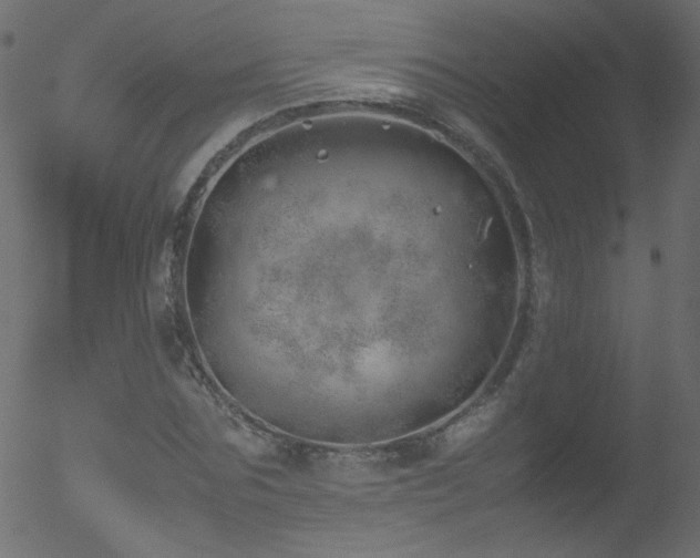 X0000052550875200507011128