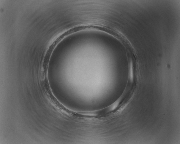 X0000052550876200507011128