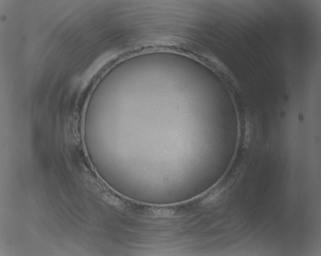 X0000052550878200507011128