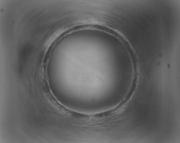 X0000052550879200507011128