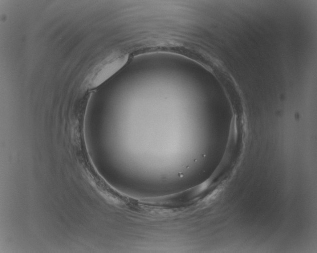 X0000052550881200507011128