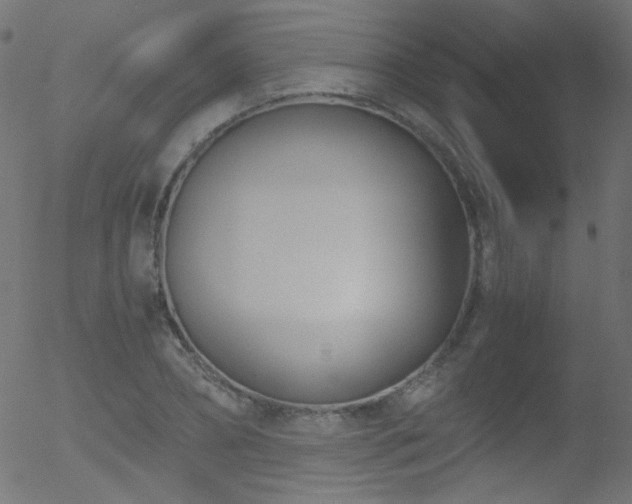 X0000052550882200507011128