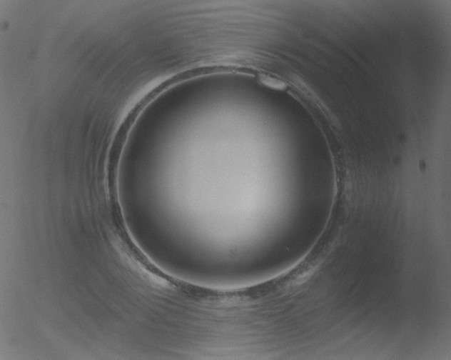 X0000052550884200507011127