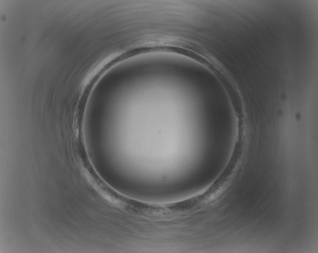 X0000052550885200507011127