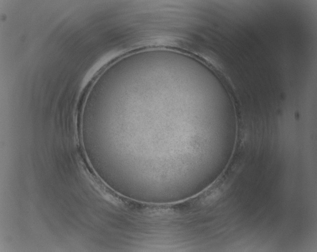 X0000052550886200507011127