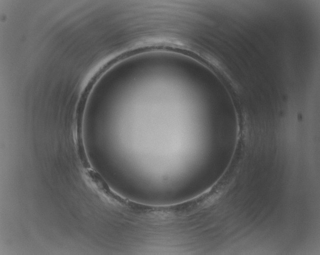 X0000052550888200507011127