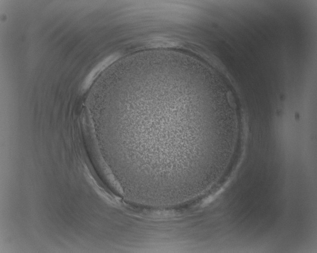 X0000052550889200507011127