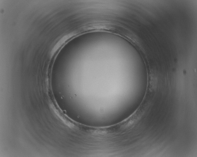 X0000052550890200507011127