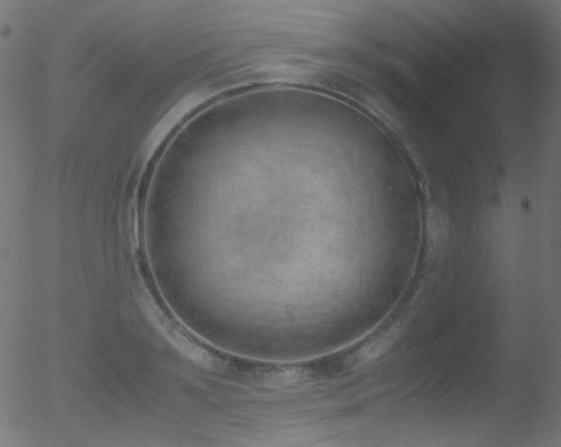 X0000052550891200507011127