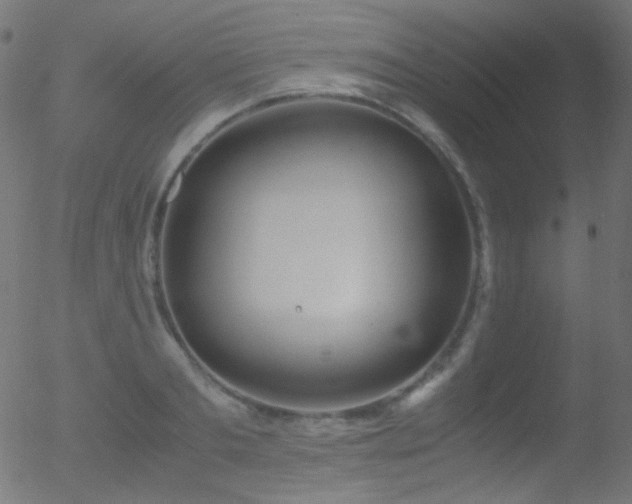 X0000052550893200507011127