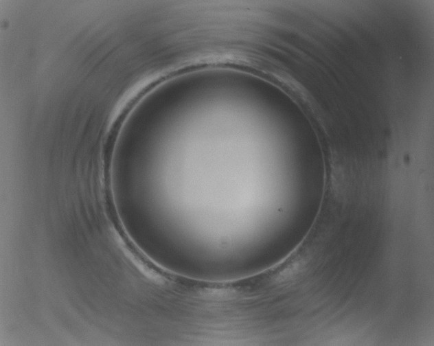 X0000052550894200507011127