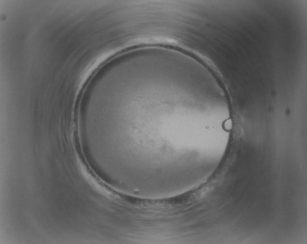 X0000052550895200507011127