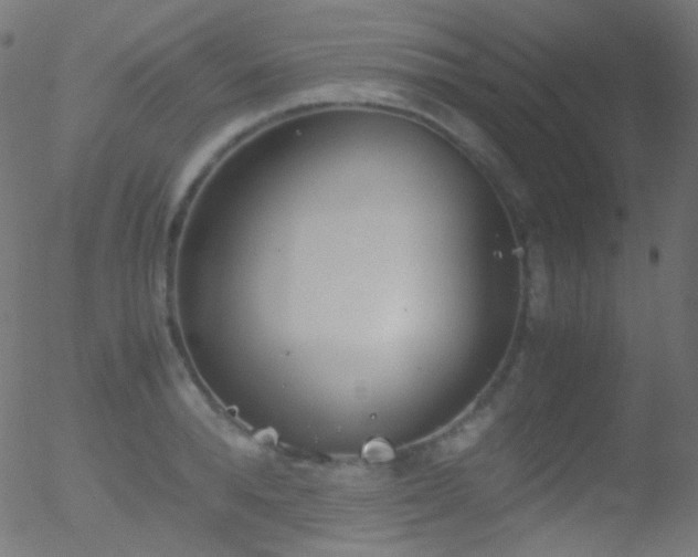 X0000052550896200507011127