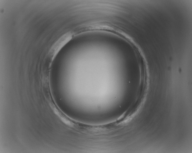 X0000052550897200507011127