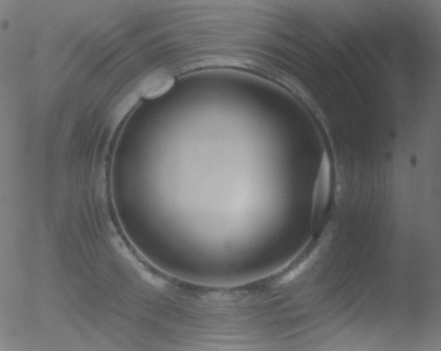 X0000052550898200507011127