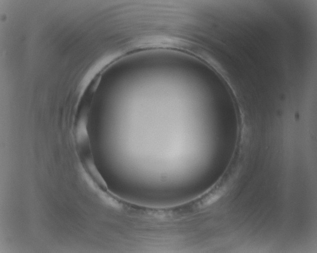 X0000052550901200507011127