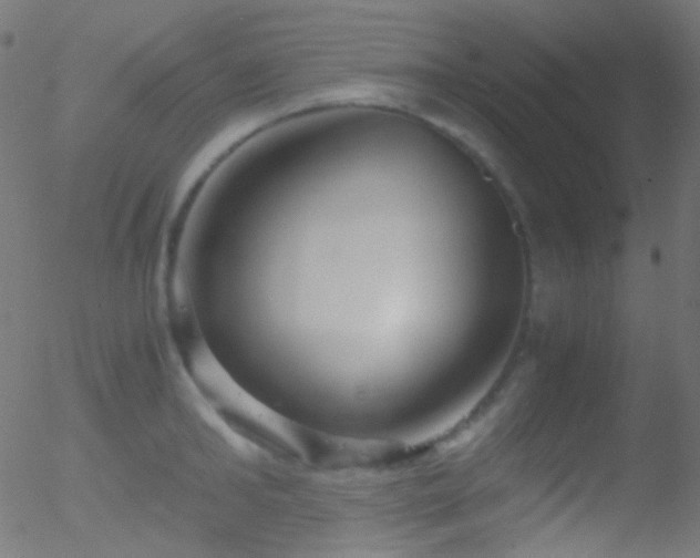 X0000052550902200507011127