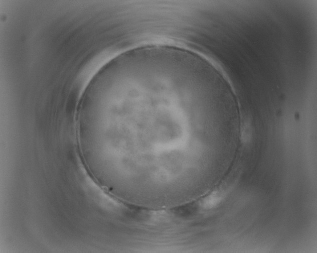 X0000052550903200507011127